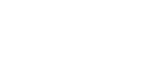 Ericsson logo